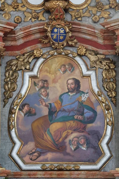 Saint Joseph Altartavlan Kyrkan Antagandet Jungfru Maria Pokupsko Kroatien — Stockfoto