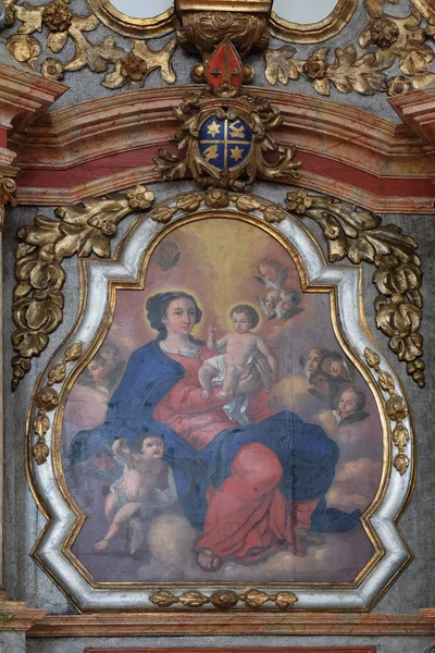 Jomfru Maria Med Jesusbarnet Altertavle Jomfru Marias Kirke Pokupsko Kroatia – stockfoto