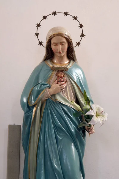 Estátua Imaculado Coração Maria Igreja Assunção Virgem Maria Pokupsko Croácia — Fotografia de Stock