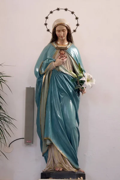克罗地亚波库普斯科圣母升天教堂的圣母心圣母星雕像 — 图库照片