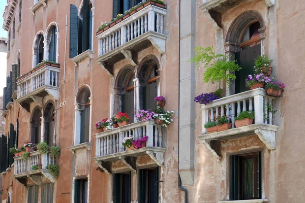 Flores Plantas Balcón Edificio Antiguo Histórico Típico Venecia Imagen Muestra — Foto de Stock