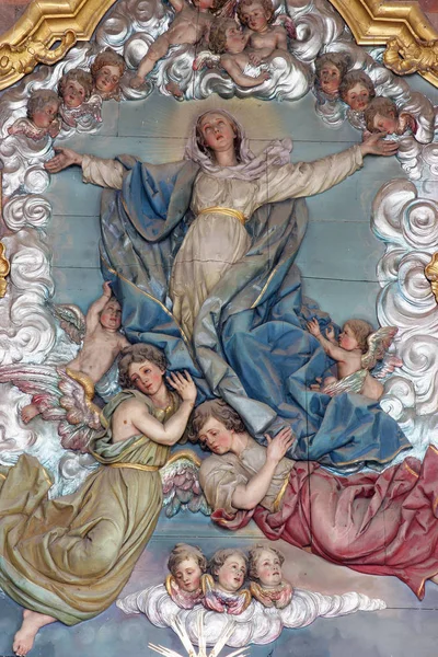 Asunción Virgen María Retablo Iglesia Asunción Sveta Marija Muri Croacia — Foto de Stock