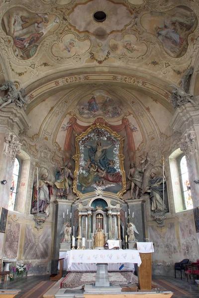 Asunción Virgen María Altar Iglesia Asunción Sveta Marija Muri Croacia — Foto de Stock