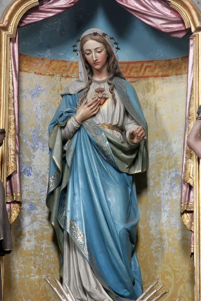 Inima Neprihănită Mariei Altar Biserica Adormirii Maicii Domnului Din Sveta — Fotografie, imagine de stoc
