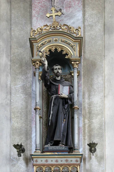 San Francisco Asís Estatua Iglesia Asunción Sveta Marija Muri Croacia —  Fotos de Stock