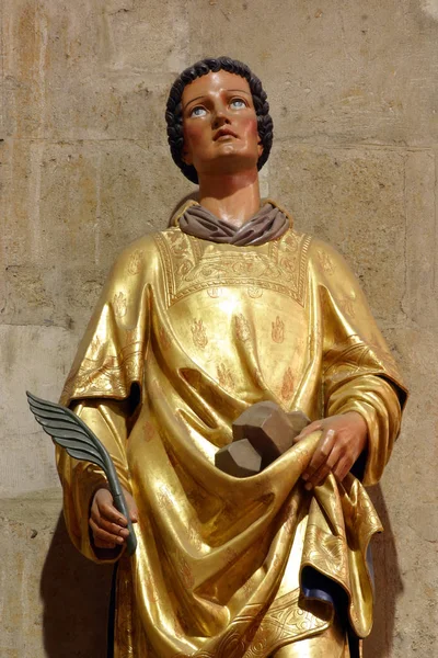 Saint Stephen Statue Zagreb Katedral Dedikeret Til Antagelsen Mary - Stock-foto