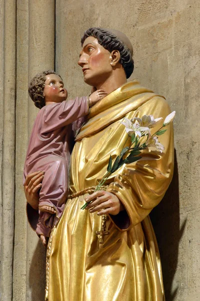 Saint Antoine Padoue Tenant Enfant Jésus Statue Cathédrale Zagreb Dédiée — Photo