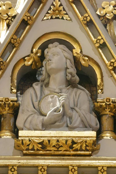 Saint Jean Evangéliste Statue Sur Autel Principal Cathédrale Zagreb Dédiée — Photo