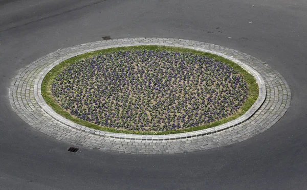 Green oasis with flowers on the asphalt road in the center of Zagreb, Croatia