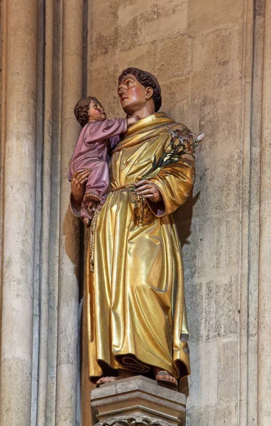 Антоний Падуанский Держащий Младенца Иисуса Статуя Загребском Соборе Посвященная Успению — стоковое фото