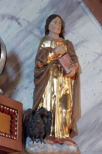Saint John Evangelist aziz Cosmas ve Damian kilise Vrhovac, Hırvatistan minber üzerinde heykeli
