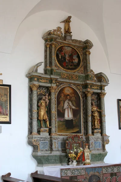 Ołtarz Świętego Jana Nepomucena Kościół Narodzenia Najświętszej Maryi Panny Světice — Zdjęcie stockowe