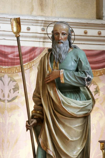 Сен Йоахім Статуя Вівтарі Церкви Успіння Пресвятої Богородиці Zakanje Хорватія — стокове фото