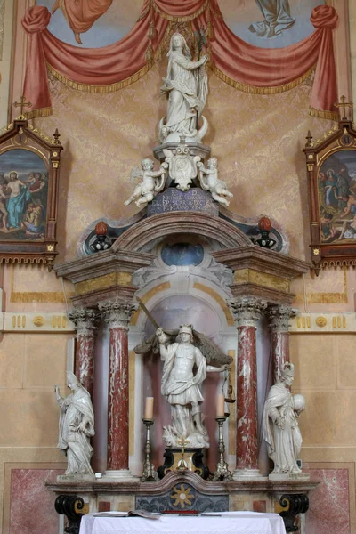 Altaar Van Heilige Michaël Kerk Van Hemelvaart Van Maagd Maria — Stockfoto