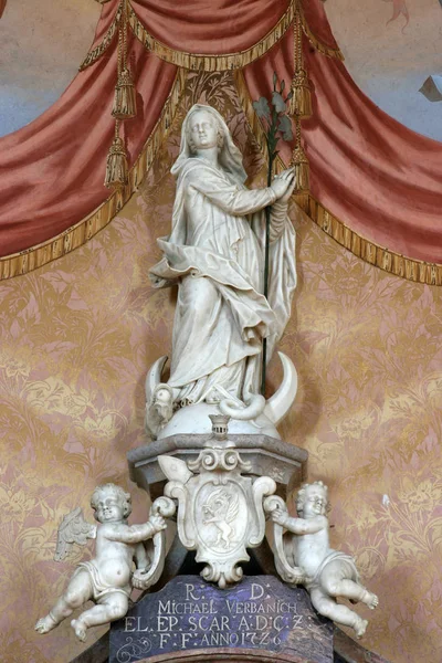 Assomption Vierge Statue Sur Autel Saint Michel Dans Église Assomption — Photo