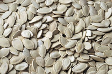 Kuru kabak çekirdeği, yakın çekim