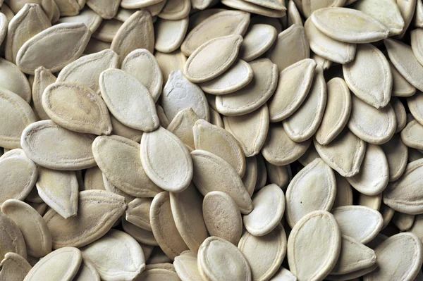 Pumpkin Dried Seeds Close — Stock Photo, Image