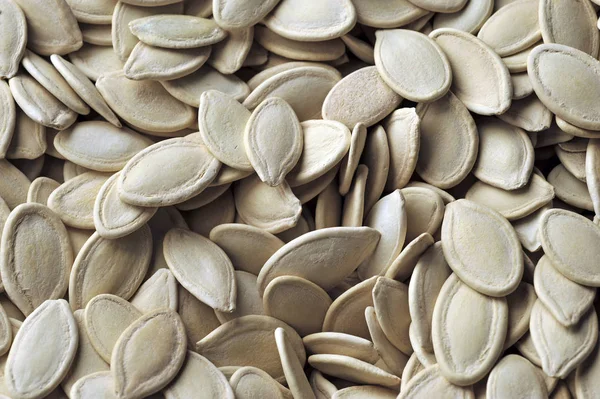 Pumpkin Dried Seeds Close — Stock Photo, Image