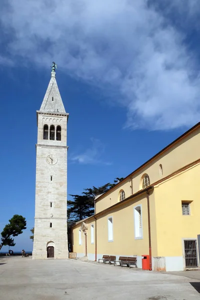 Iglesia Parroquial San Pelagio Fue Hasta 1828 Catedral Diócesis Cittanova — Foto de Stock