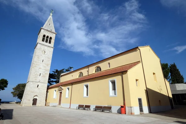 Parish Kilisesi Pelagius Cittanova Piskoposluk Bölgesi Novigrad Hırvatistan 1828 Katedrali — Stok fotoğraf