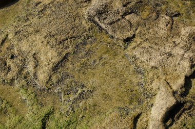 Taş dokusu su altında