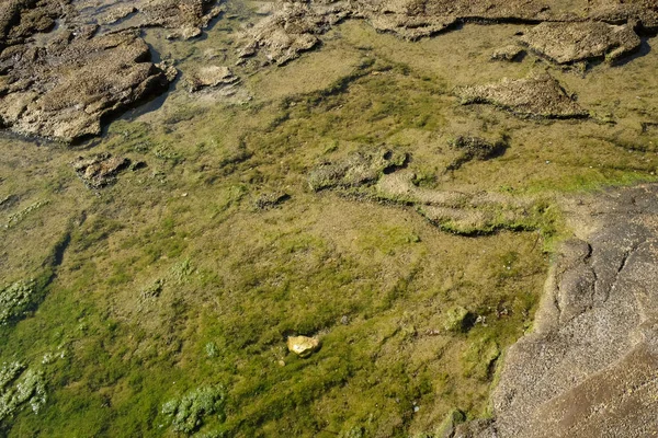 Кам Яна Текстура Під Водою — стокове фото