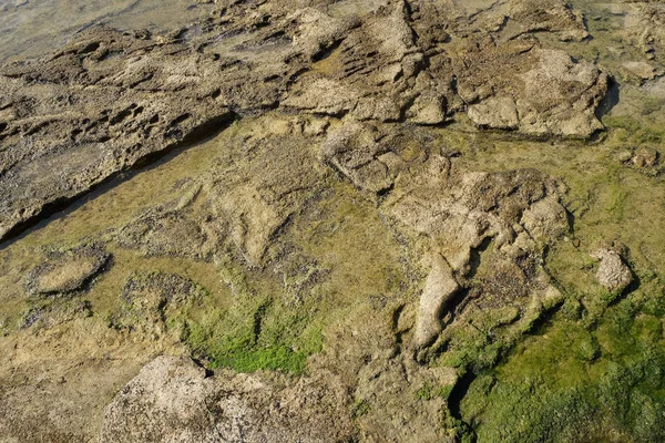 Textura Pedra Debaixo Água — Fotografia de Stock