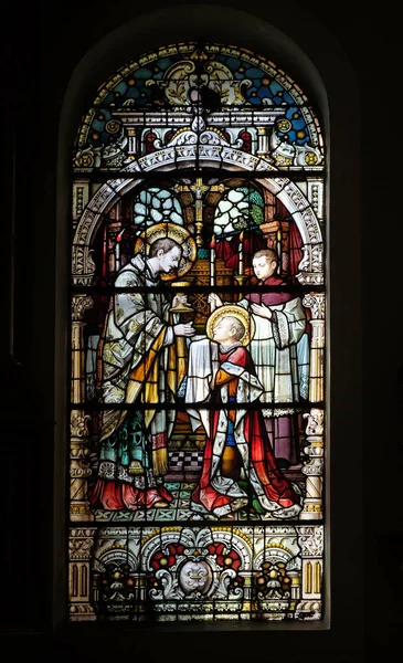 Saint Aloysius Onun Komünyon Saint Charles Borromeo Vitray Pencere Zagreb — Stok fotoğraf
