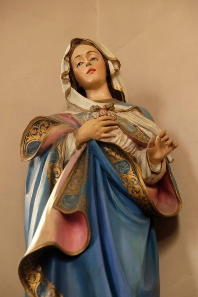 Neposkvrněnému Srdci Panny Marie Sochy Oltáři Kostele Svatého Martina Záhřebu — Stock fotografie