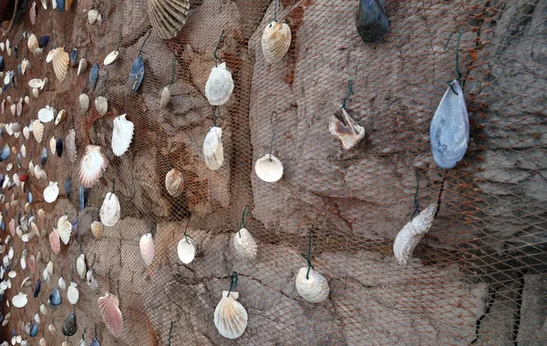 Fischernetz Mit Muscheln Dekoriert Ausgestellt Als Dekoration Vor Dem Restaurant — Stockfoto