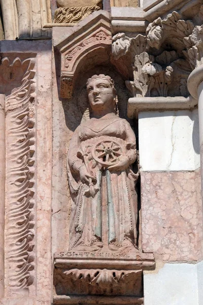 Святая Екатерина Александрийская Статуя Фасаде Церкви Святой Анастасии Вероне Италия — стоковое фото