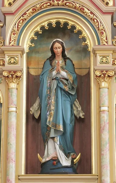 在克罗地亚锡萨克圣十字教堂的圣母雕像 — 图库照片