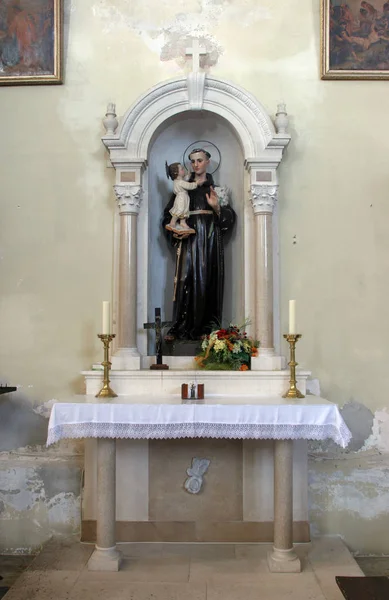 Ołtarz Świętego Antoniego Padwy Kościele Wspomożycielki Wiernych Orebic Chorwacja — Zdjęcie stockowe