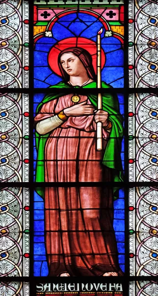 Saint Genevieve Stained Glass Windows Saint Germain Des Pres Church — Stock Photo, Image