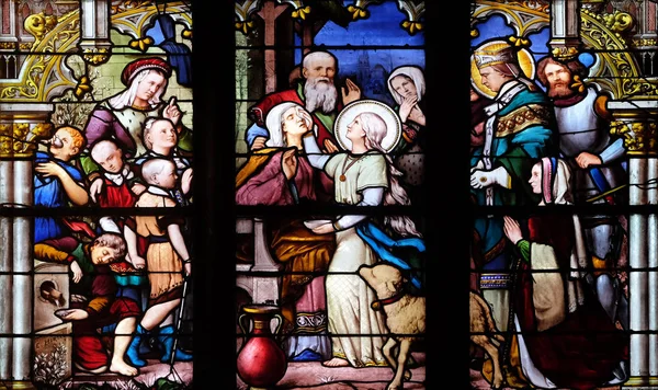 Αγία Genevieve Δίνοντας Θέαμα Στη Μητέρα Του Παρουσία Saint Marcel — Φωτογραφία Αρχείου