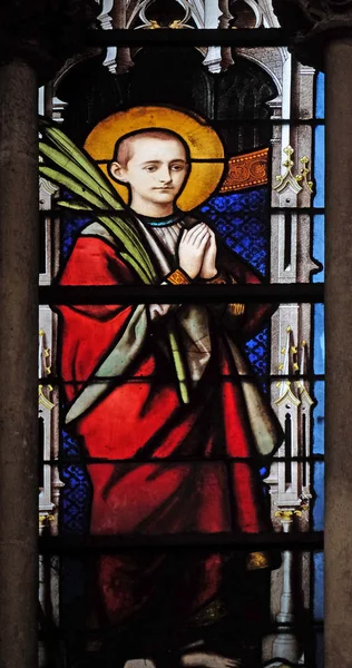 Saint Martyr Stained Glass Window Saint Severin Church Paris France — Stock Photo, Image