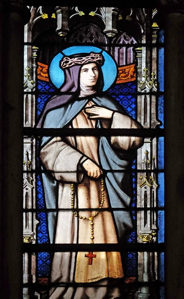 Saint Glassmaleri Kirken Saint Severin Paris Frankrike – stockfoto