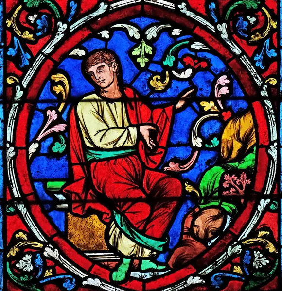 Renkli Vitray Pencere Notre Dame Katedrali Unesco Dünya Miras Listesi — Stok fotoğraf