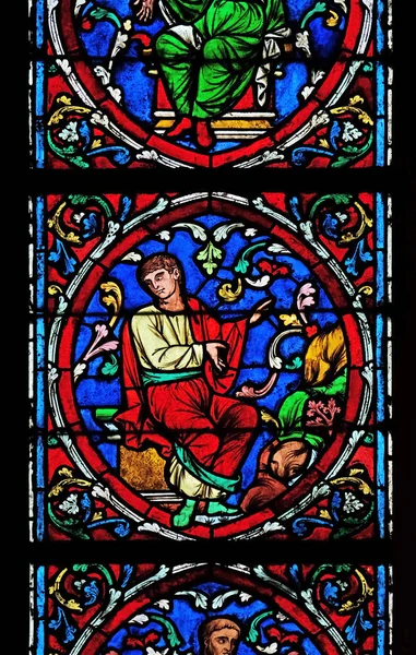 Colorido Vitral Catedral Notre Dame Patrimônio Mundial Unesco Paris França — Fotografia de Stock