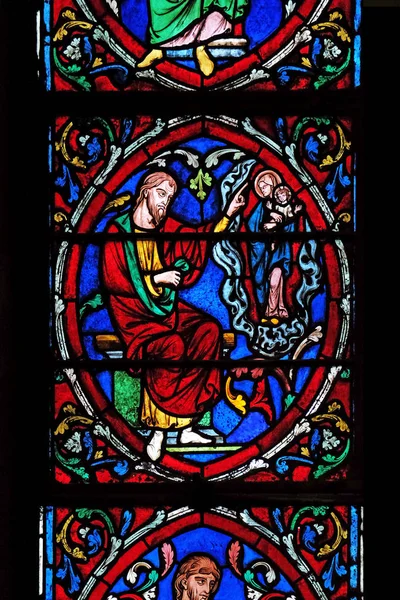 Tree Jesse Stained Glass Window Notre Dame Cathedral Unesco World — Stock Photo, Image