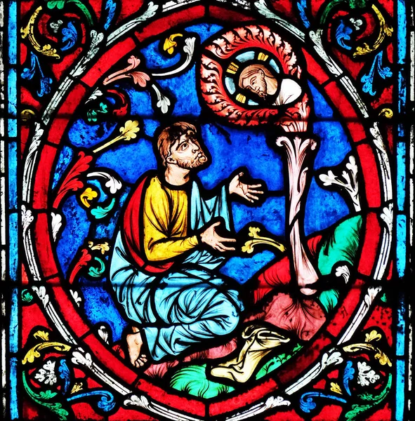 Moses Stained Glass Window Notre Dame Cathedral Unesco World Heritage — Stock Photo, Image