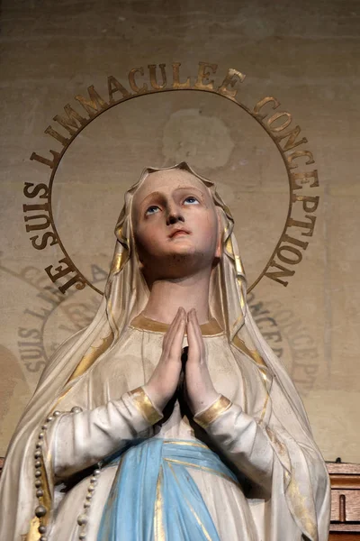 我是完美的概念 我们的德之夫人 在圣弗朗西斯 泽维尔在法国巴黎的教堂雕像 — 图库照片