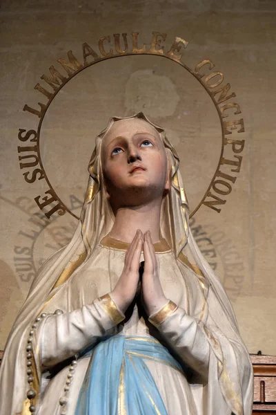 Immaculate Conception Our Lady Lourdes Statue Francis Xavier Church Paris — Stock Photo, Image