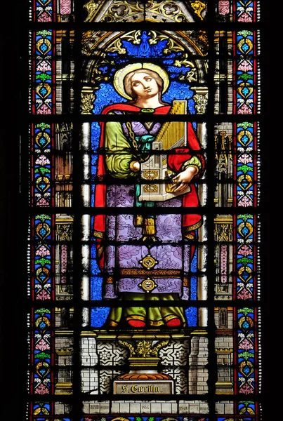 Saint Cecilia Stained Glass Window Basilica Saint Clotilde Paris France — Stock Photo, Image