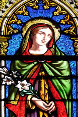 Saint Camilla, vitray pencere Basilica of Saint Clotilde Paris, Fransa 