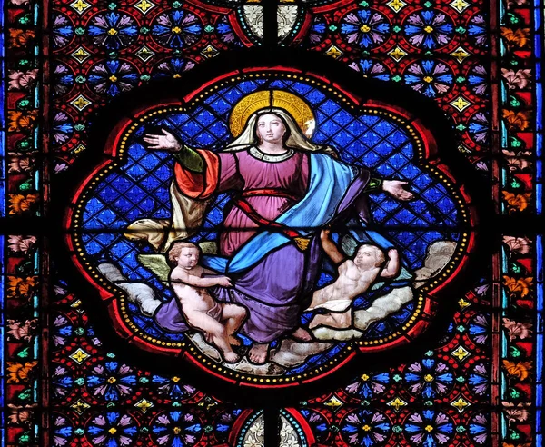 Asumsi Perawan Maria Jendela Kaca Patri Basilika Santo Clotilda Paris — Stok Foto