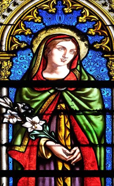 Saint Camilla Glassmaleri Clotildes Basilika Paris Frankrike – stockfoto