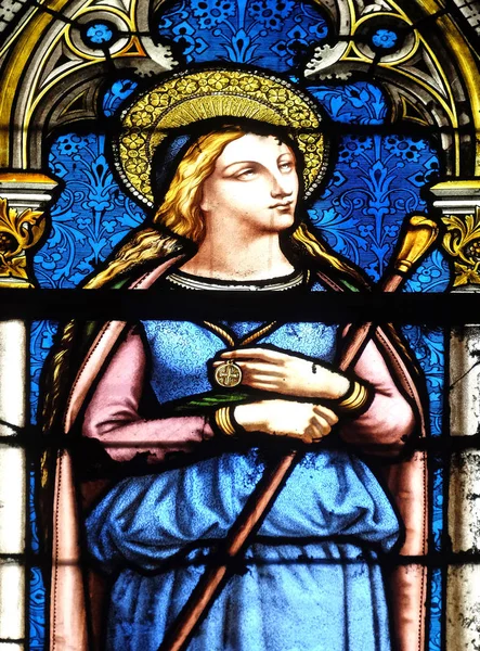 Saint Genevieve Stained Glass Window Basilica Saint Clotilde Paris France — Stock Photo, Image