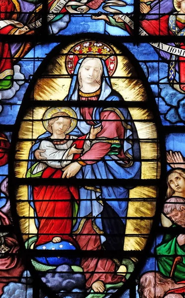 Our Lady Refuge Sinners Stained Glass Window Basilica Notre Dame — Stock Photo, Image