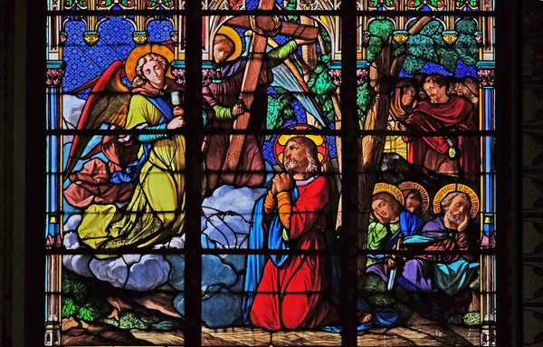 Gesù Suoi Discepoli Sul Monte Degli Ulivi Vetrate Nella Chiesa — Foto Stock